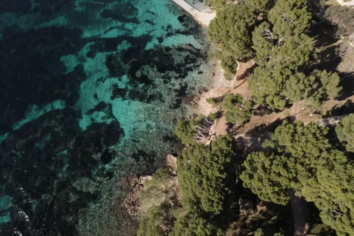 Vista aérea de campos de cultivo en el interior de Mallorca
