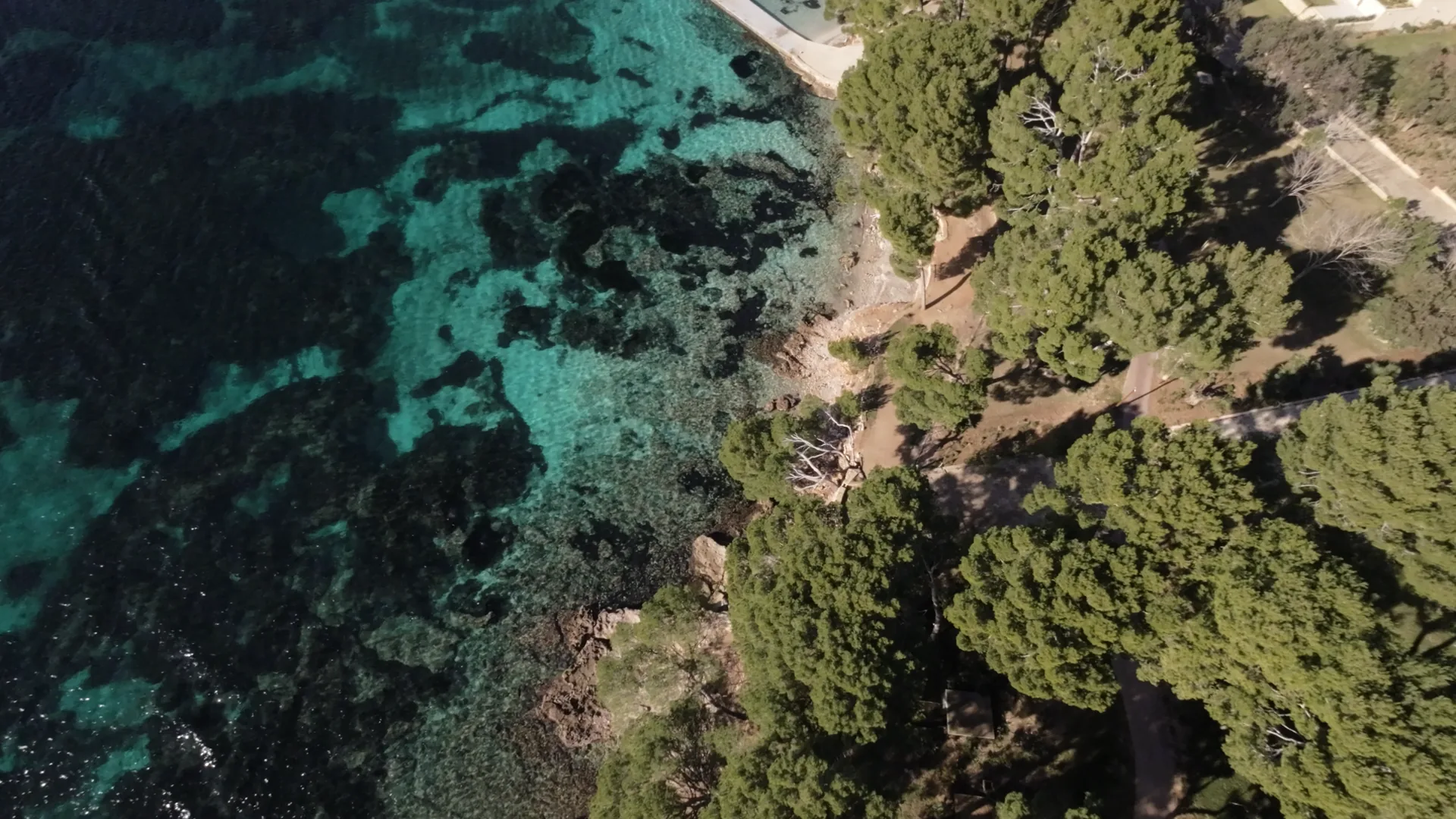 Vista aérea de campos de cultivo en el interior de Mallorca
