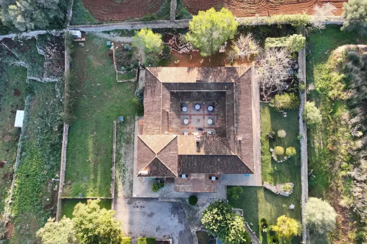 Olivar y campos que rodean el agroturismo Ses Illes en Mallorca